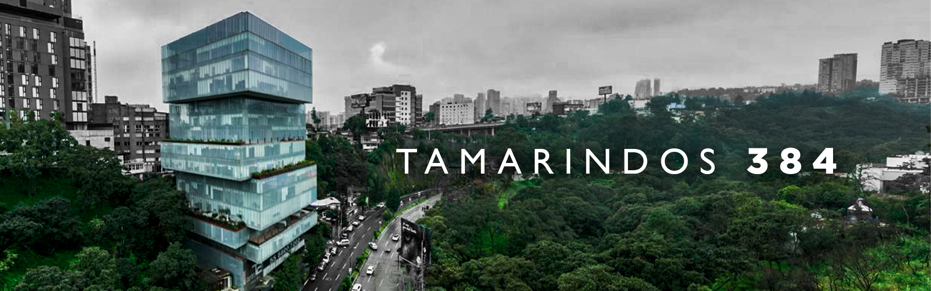 Tamarindos 384 - Vista de Escritorio